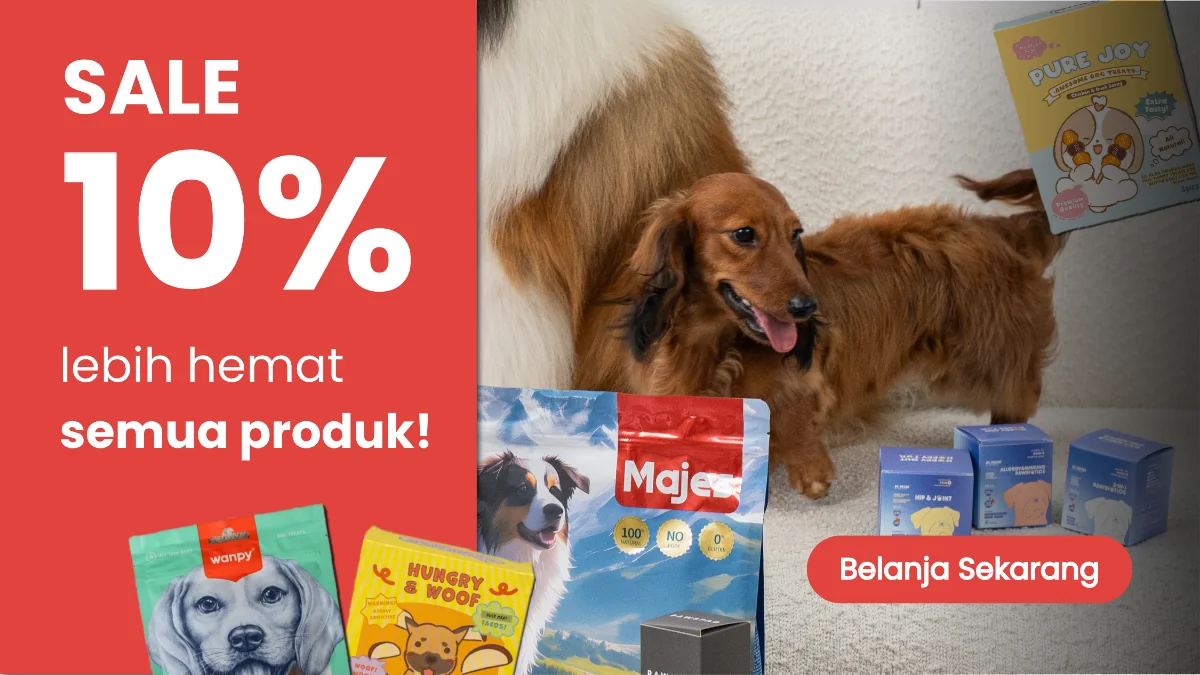 Promo Pawie